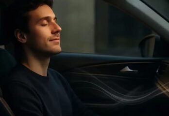 Do Sound Processors Really Make a Difference in Car Audio?